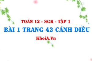 Bài 1 trang 42 Toán 12 tập 1 Cánh Diều